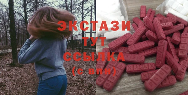 ECSTASY Богородицк